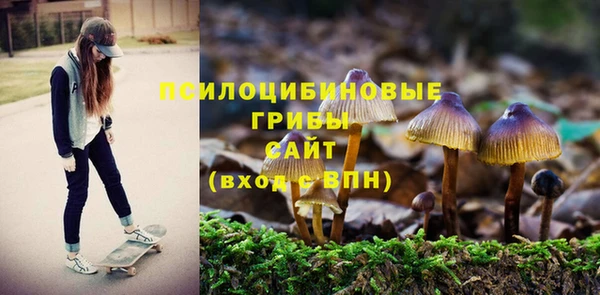 ALPHA PVP Алзамай