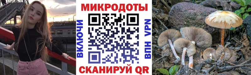 Псилоцибиновые грибы Magic Shrooms  Буй 