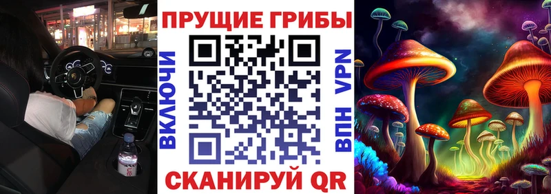 Псилоцибиновые грибы MAGIC MUSHROOMS Буй